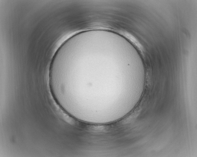 X0000115021431200911161436