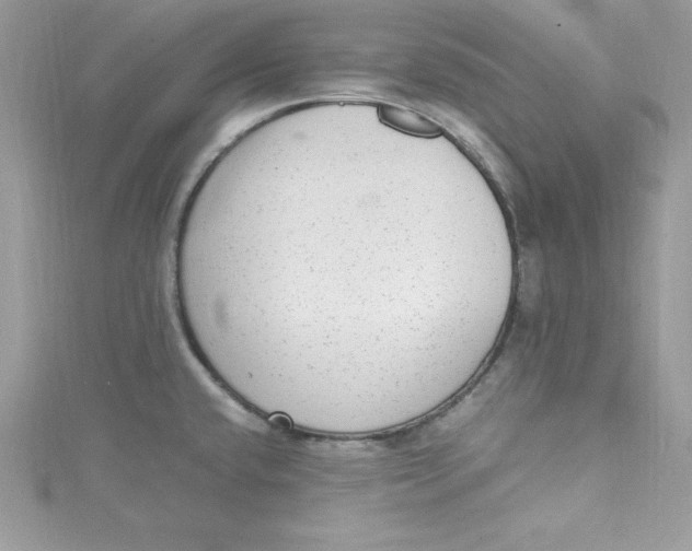 X0000115021432200911161436