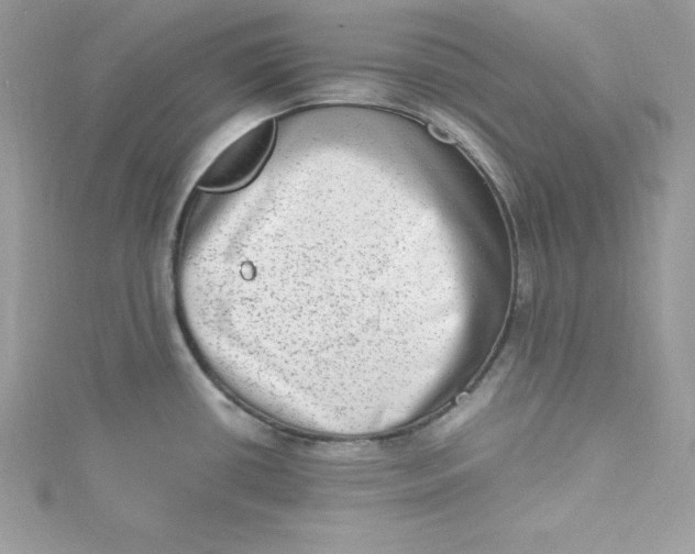 X0000115021434200911161436