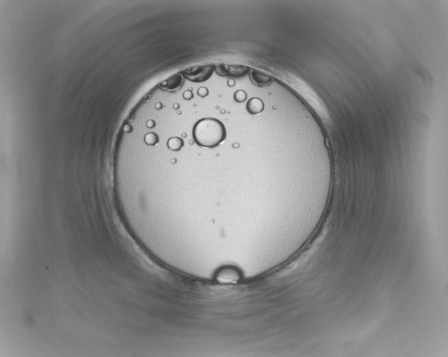 X0000115021436200911161436