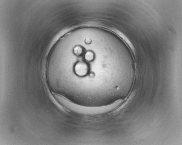 X0000115021437200911161436