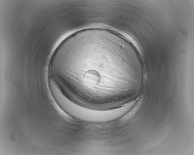 X0000115021438200911161436