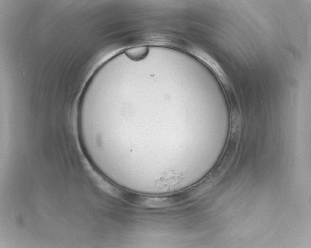 X0000115021439200911161436