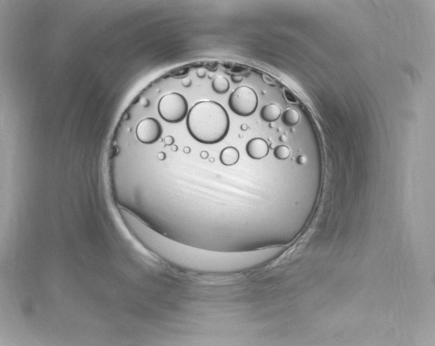 X0000115021440200911161436