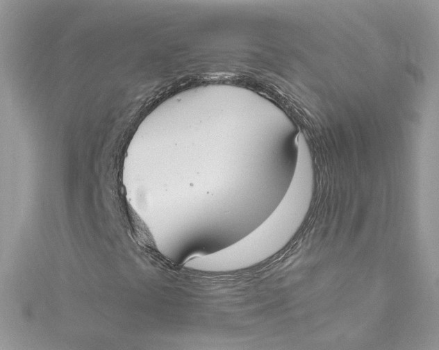 X0000115021441200911161435