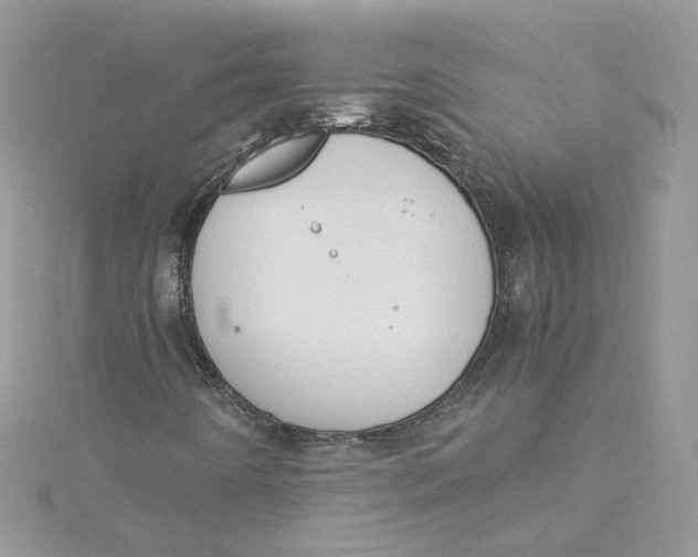 X0000115021442200911161435