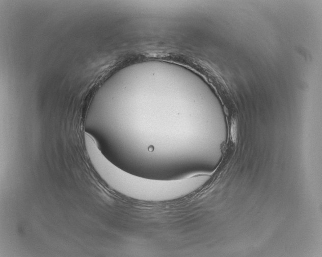 X0000115021444200911161435