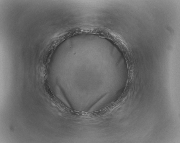 X0000115021445200911161435