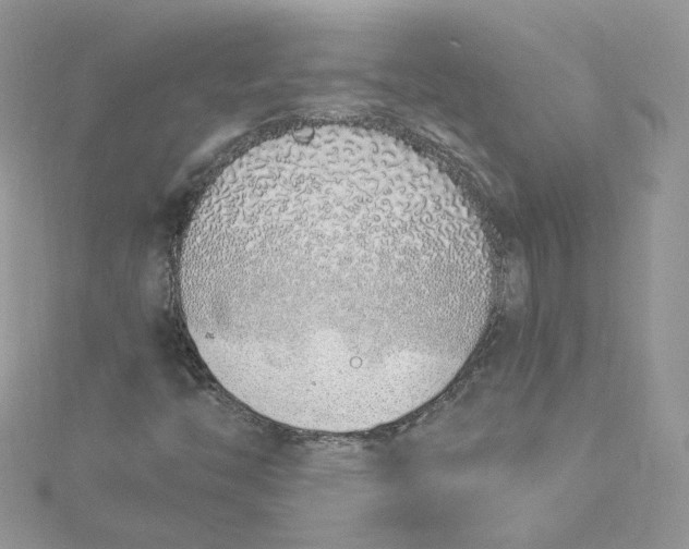 X0000115021446200911161435