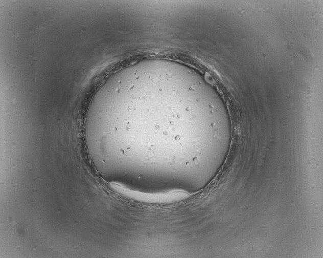 X0000115021447200911161435