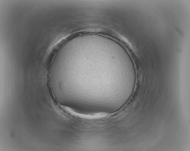 X0000115021448200911161435