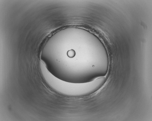 X0000115021449200911161435