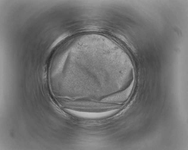 X0000115021450200911161435