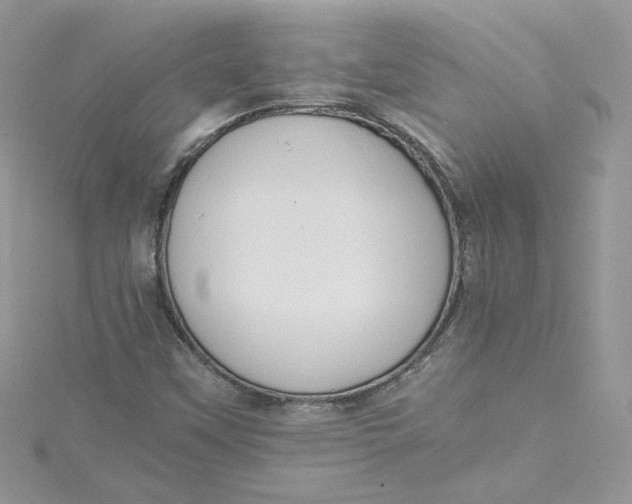 X0000115021451200911161435