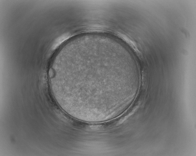 X0000115021453200911161435