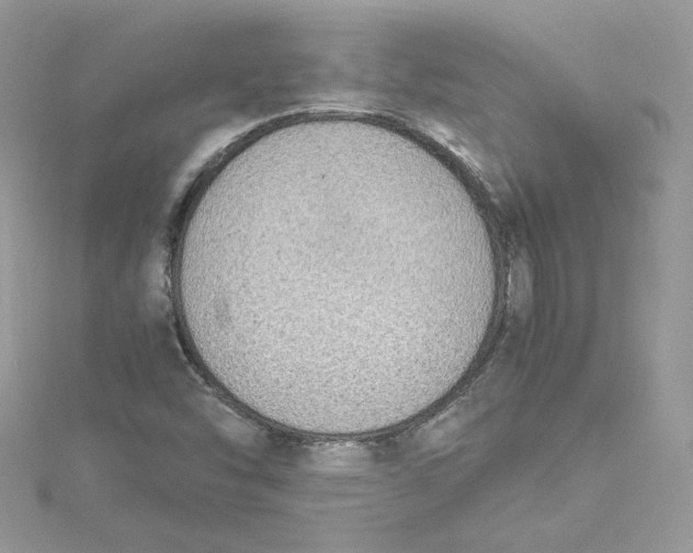 X0000115021454200911161435