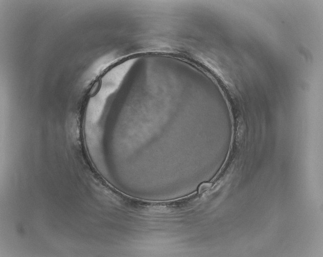 X0000115021455200911161435