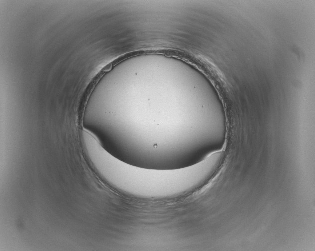 X0000115021457200911161435