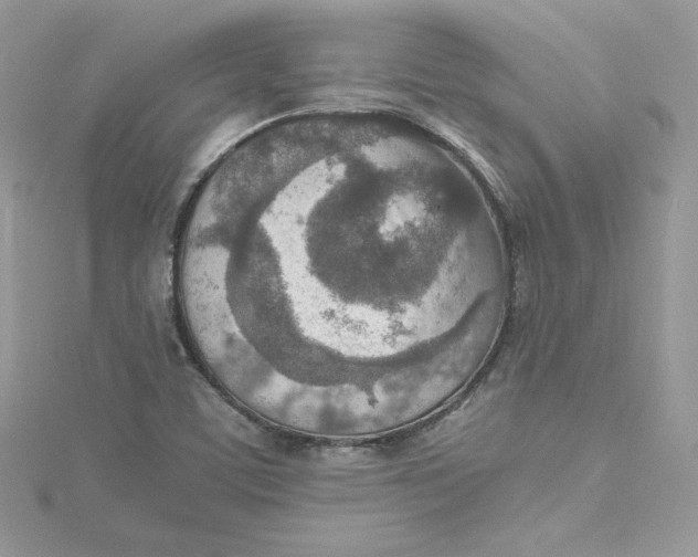 X0000115021459200911161435