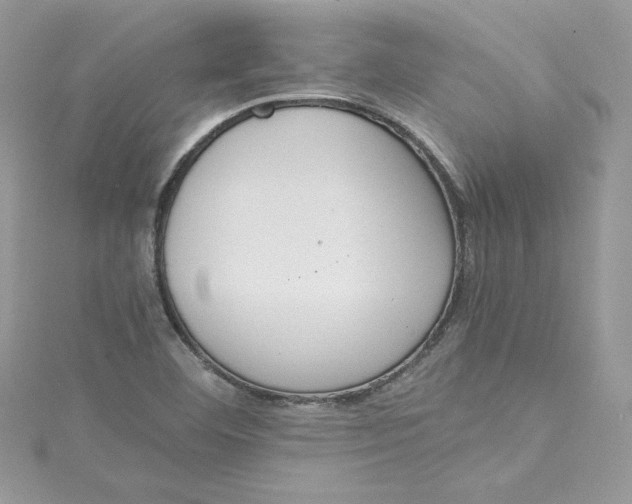 X0000115021460200911161435