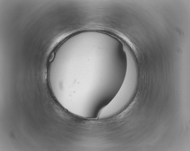 X0000115021461200911161435