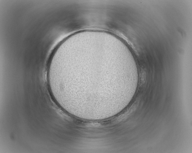 X0000115021462200911161435