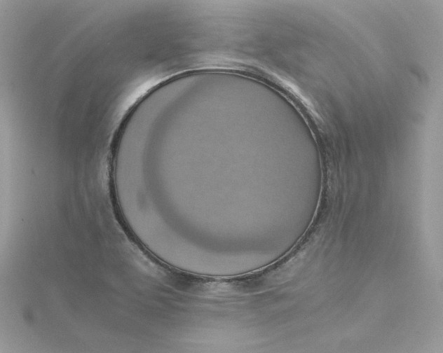 X0000115021463200911161435