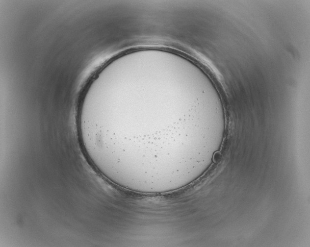 X0000115021464200911161435