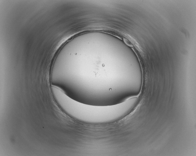 X0000115021465200911161435