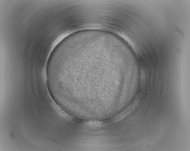 X0000115021466200911161435