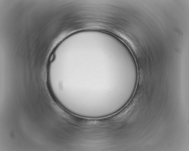 X0000115021467200911161435