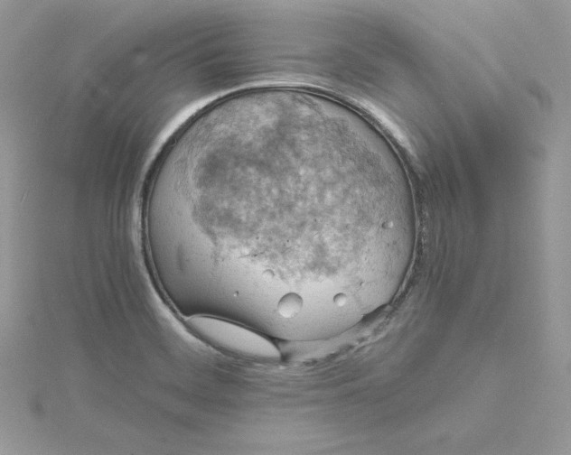 X0000115021468200911161435