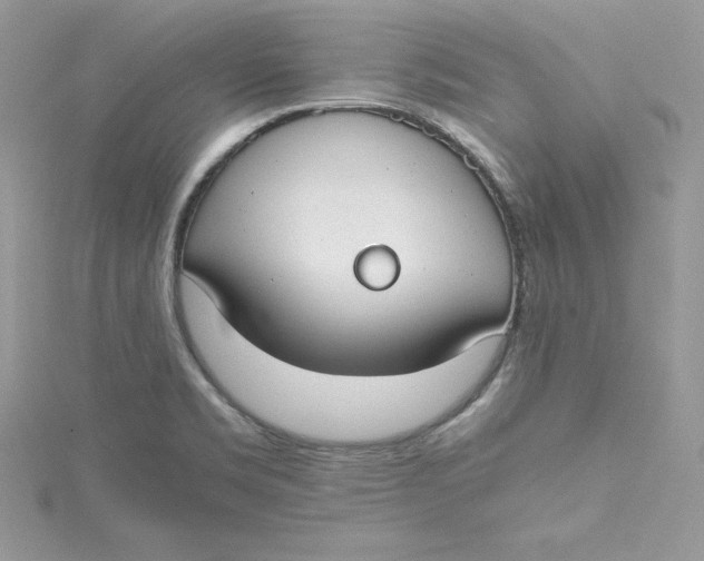 X0000115021469200911161435