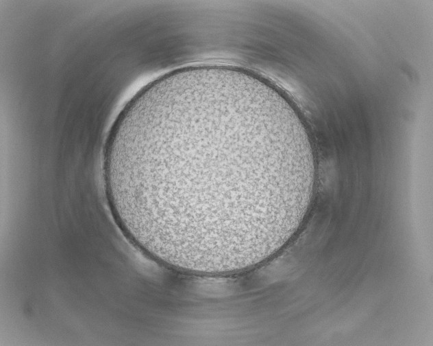 X0000115021470200911161435