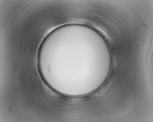 X0000115021471200911161435