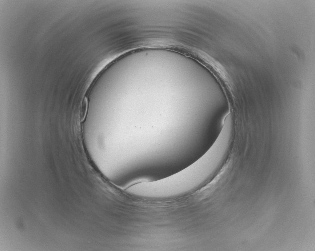 X0000115021473200911161435