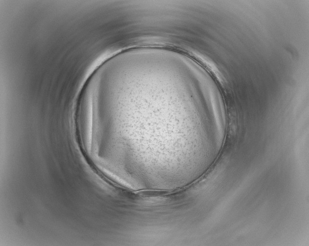 X0000115021475200911161435