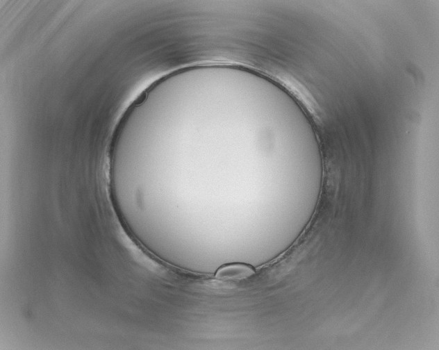 X0000115021476200911161435