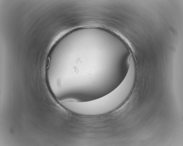 X0000115021477200911161435