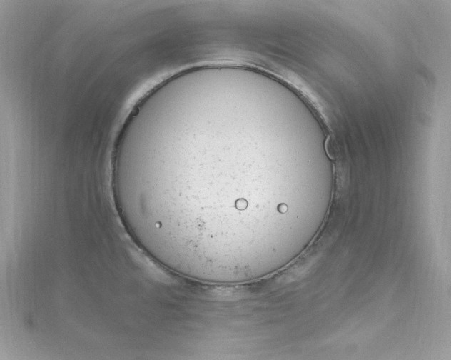 X0000115021480200911161435