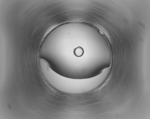 X0000115021481200911161435