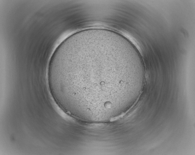 X0000115021482200911161435