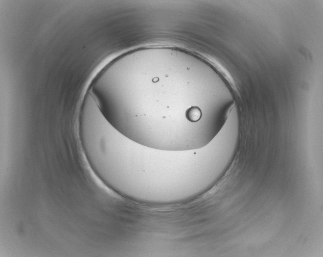 X0000115021484200911161435