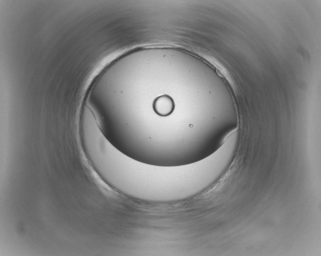 X0000115021485200911161435