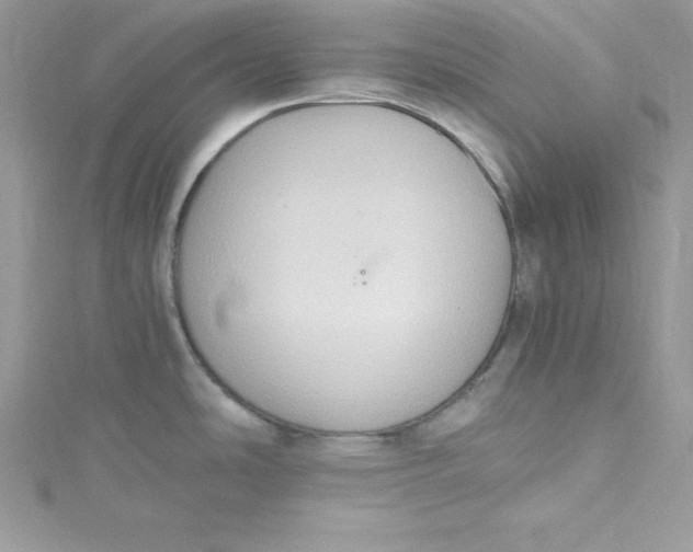 X0000115021486200911161435