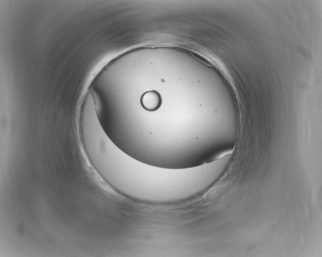 X0000115021488200911161435