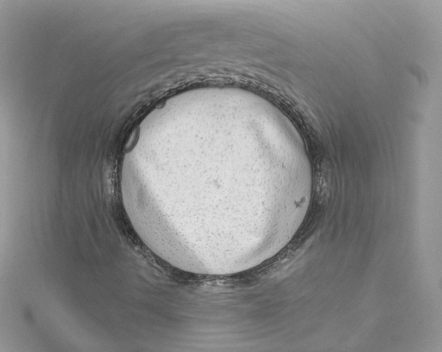 X0000115021490200911161434