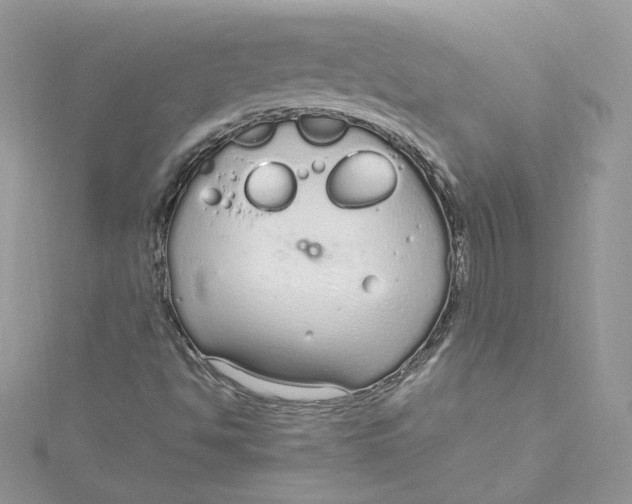 X0000115021494200911161434