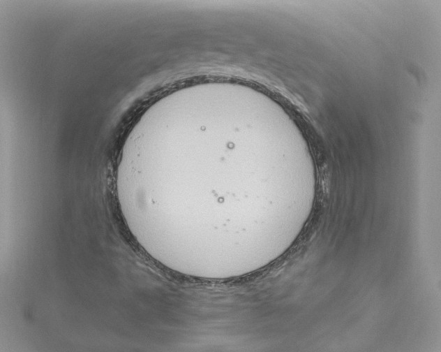 X0000115021495200911161434