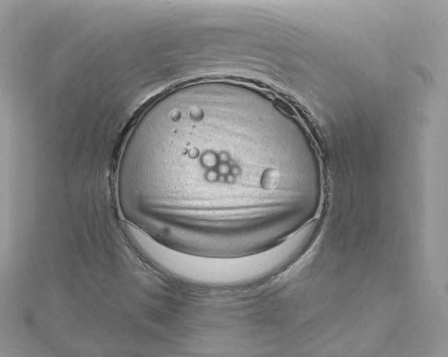 X0000115021497200911161434